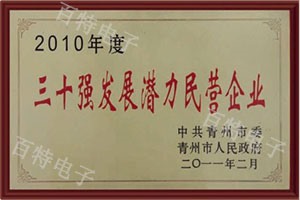 2010年度三十強(qiáng)發(fā)展?jié)摿γ駹I企業(yè)